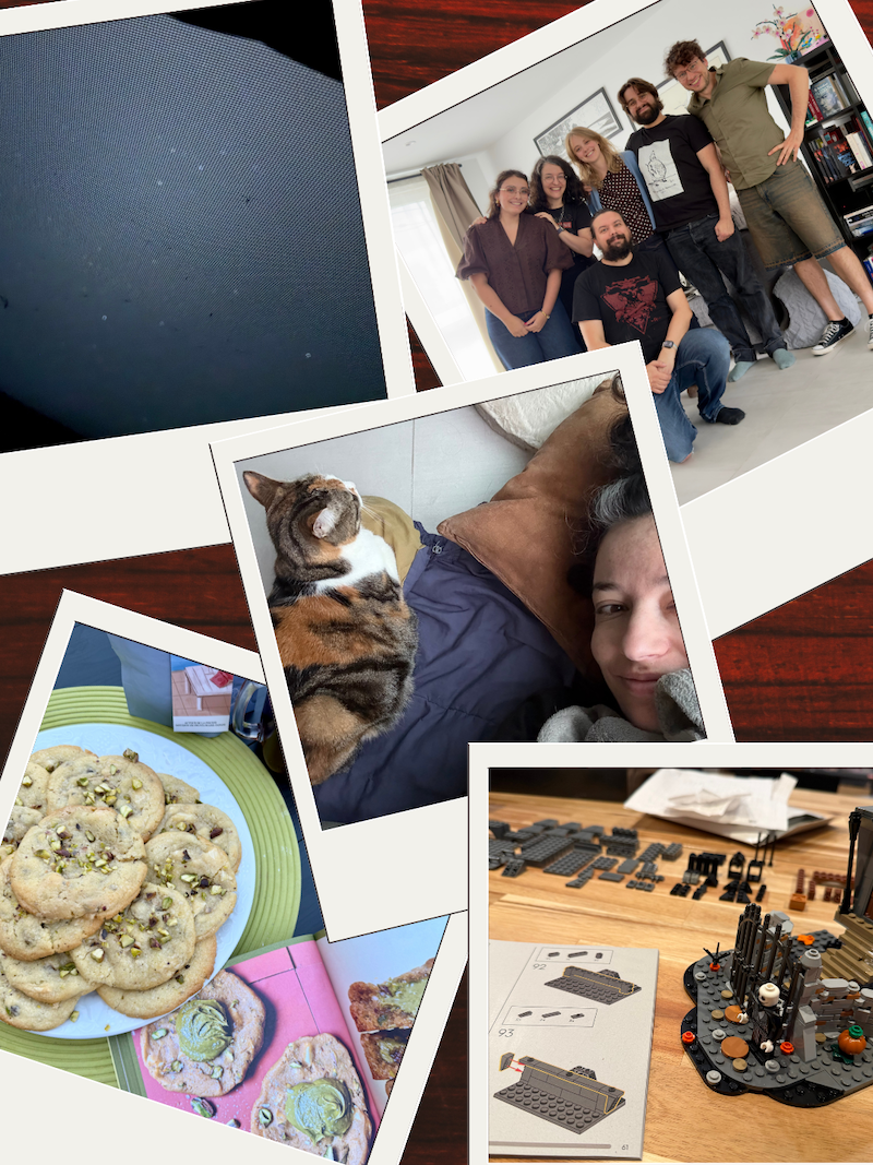 Dump du mois avec 1 photo du ciel étoilé pour les Perséïdes, une photo des amis, une photo du chat couché à côté de moi sur le sol, des cookies pistache et d’un Lego en cours