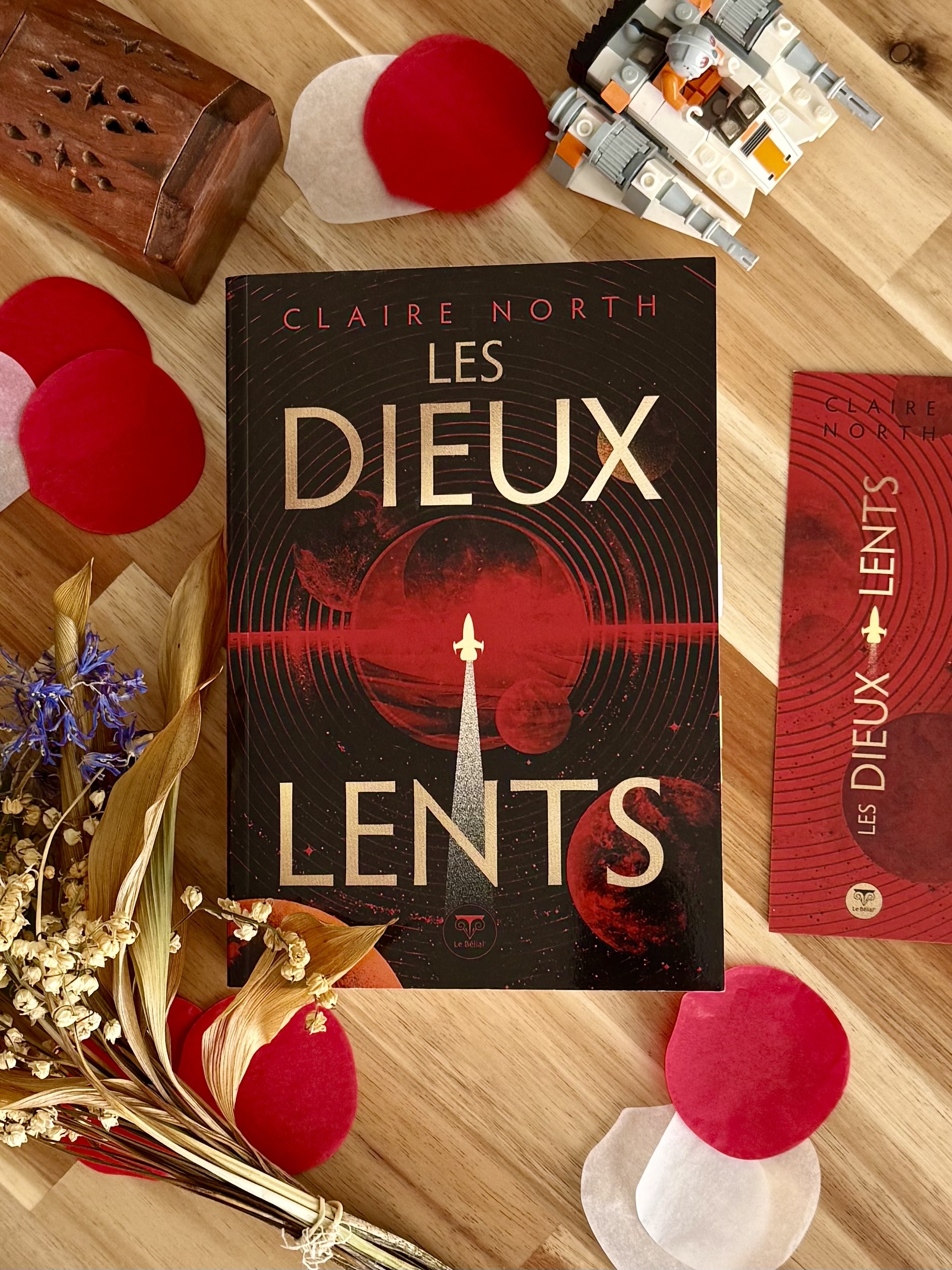 Livre Les Dieux lents posé à côté d'un lego de vaisseau Star Wars, de fleurs séchés, d'un mini coffre en bois et de pétales rouges et blanches. La couverture montre un vaisseau dans l'univers.
