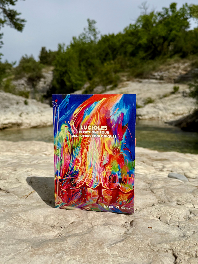 Livre Lucioles pris en photo sur un rocher près de la rivière du Toulourenc.