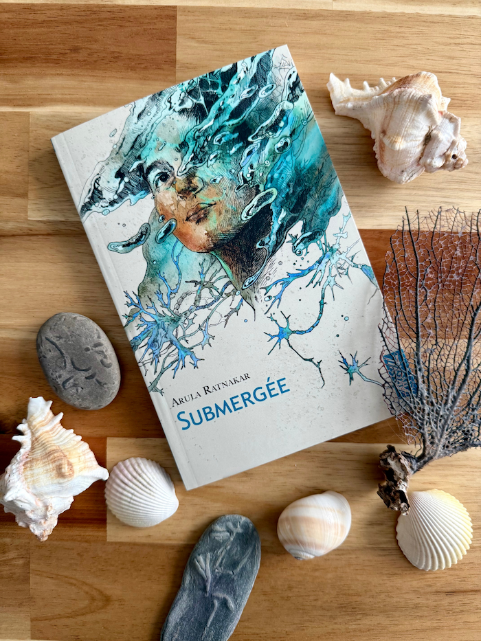 Livre Submergée avec des coquillages, morceau de corail et pierres