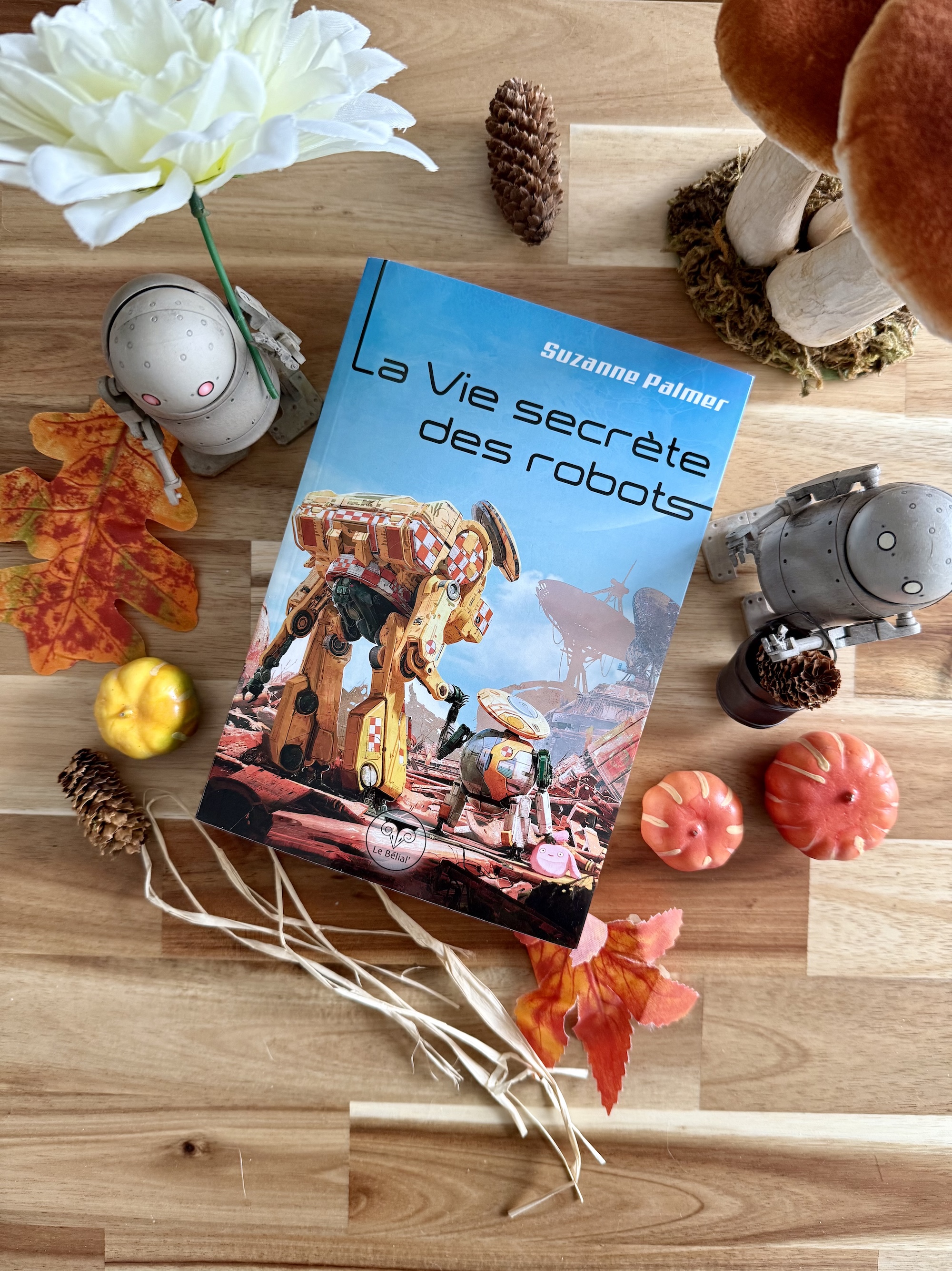 Livre posé au milieu de figurines de robots et de petits décors automnaux (champignon, mini citrouille, pomme de pain, feuille d'arbre, fleur...). La couverture de La vie secrète des robots montre deux robots se tenant par ce qui leur sert de main. L'un est tout petit et porte un petit sac rose, le plus grand robot semble baisser le regard sur le petit. Le décor montre des vaisseaux et satellites.